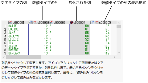 Text Import Wizard Window with Column Options