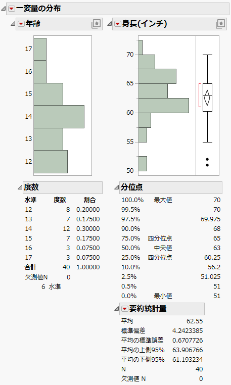 The Initial Distribution Report Window