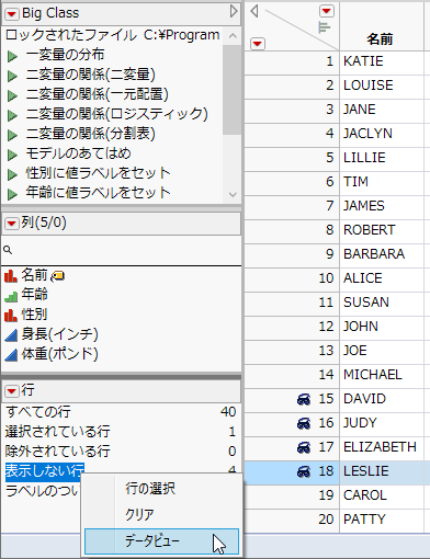 Creating a Data View from the Rows Panel