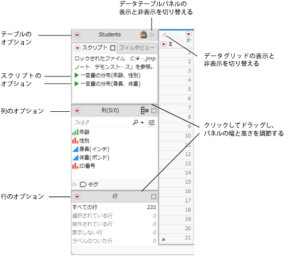 Interacting with the Data Table Panels