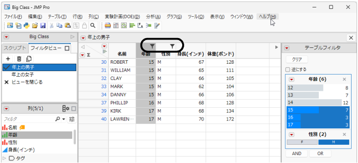 Marked Filter View Columns