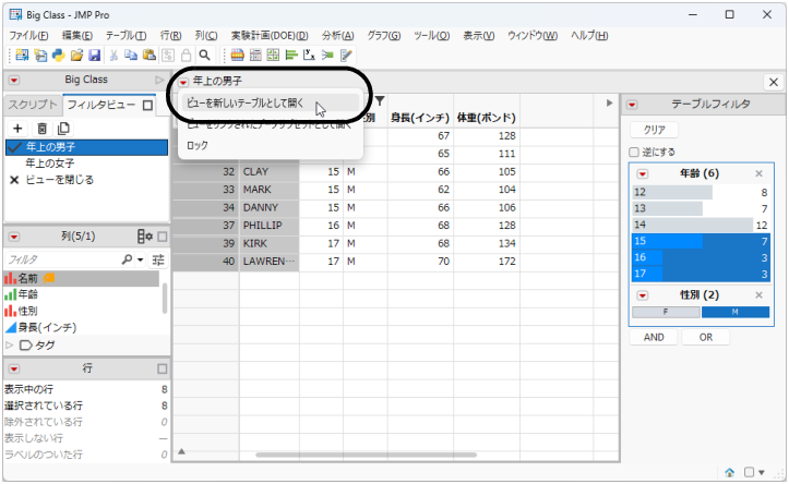 Open a Filter View as a New Table