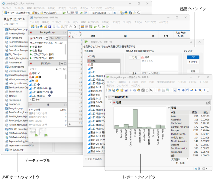 Anatomy of a Typical JMP Session on Windows