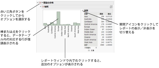 Report Window Features