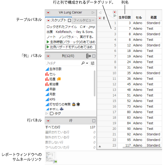 A Data Table