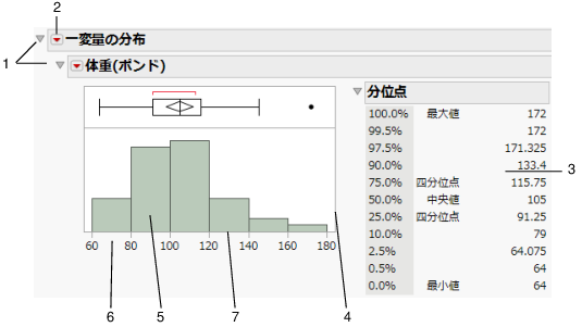 Basics of the Report Window