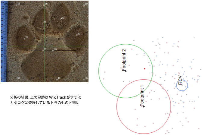 Example of Extracting and Analyzing Data