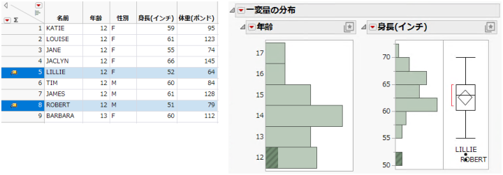 Example of the Distribution Platform