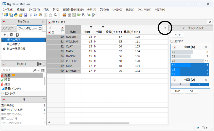 Filter Pane Toggle
