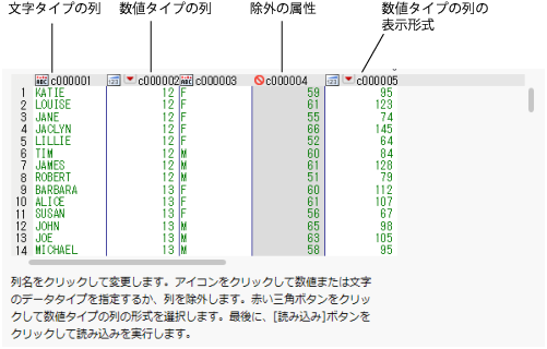 Text Import Wizard Window with Column Options