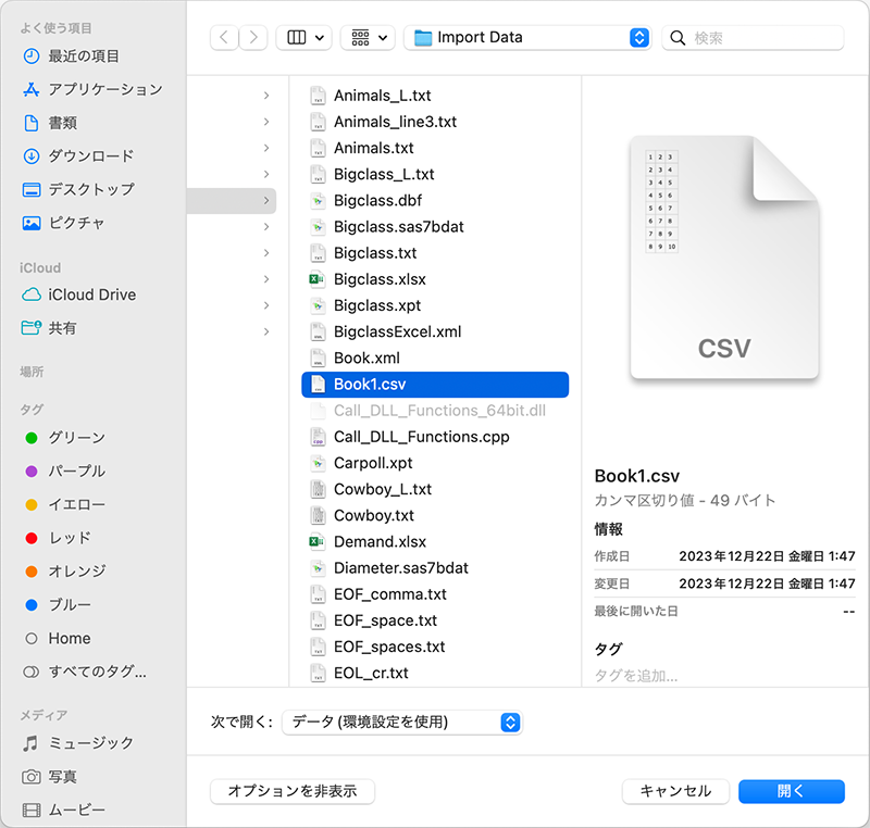 Opening a Text Document on Apple macOS