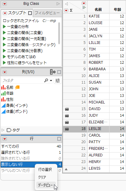Creating a Data View from the Rows Panel