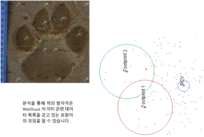 Example of Extracting and Analyzing Data