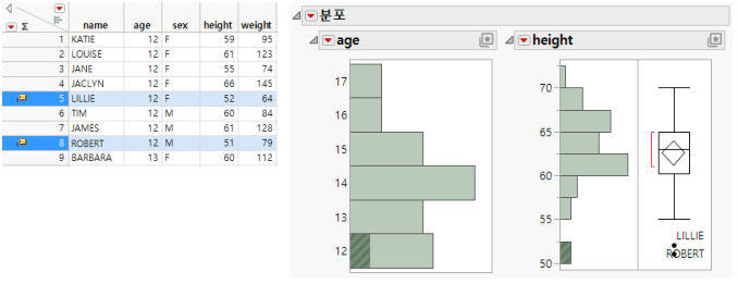Example of the Distribution Platform