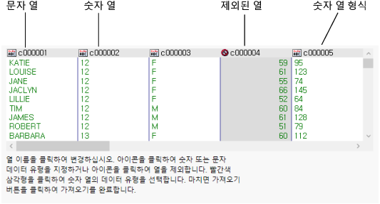 Text Import Wizard Window with Column Options