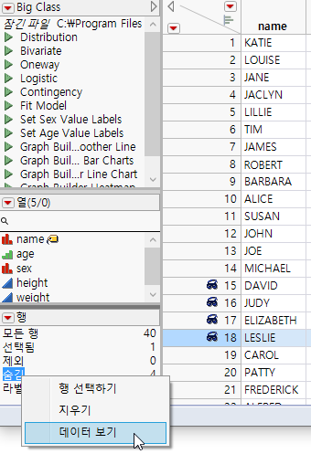 Creating a Data View from the Rows Panel