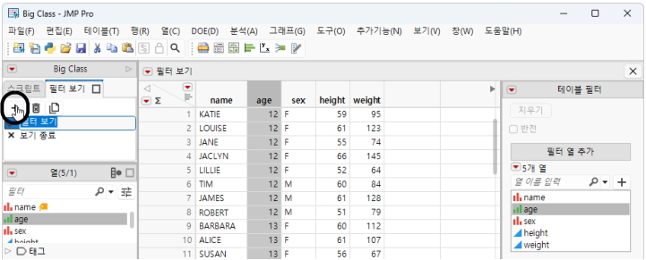 Create a Filter View from the Filter Views Tab