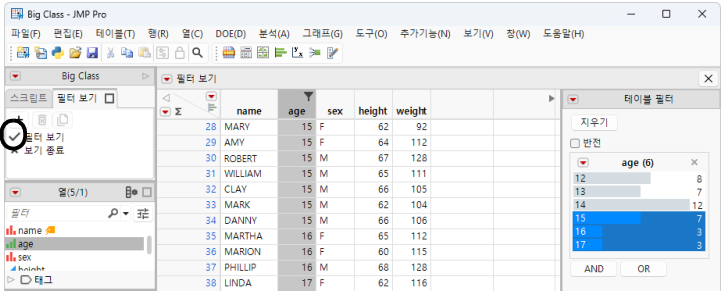 The Active Filter View