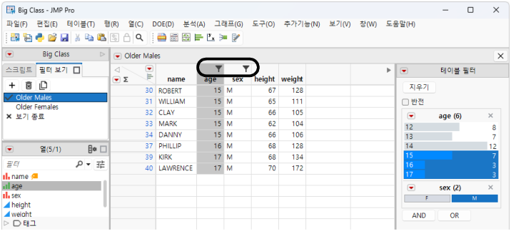 Marked Filter View Columns