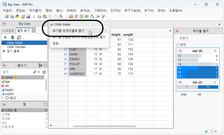 Open a Filter View as a New Table