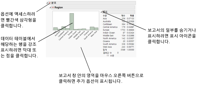 Report Window Features