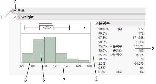 Basics of the Report Window