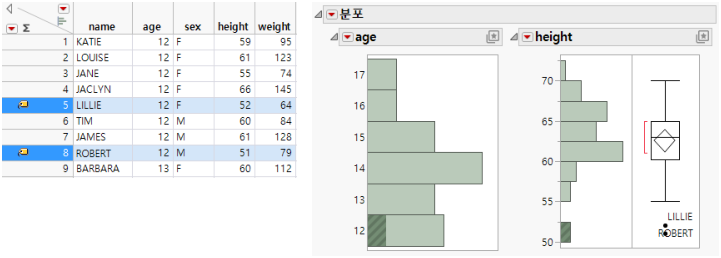 Example of the Distribution Platform