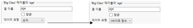 Column Info Window That Shows Numeric Column before and after Compression