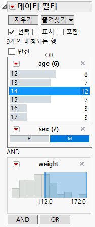 Data Filter with Grouped by AND Condition
