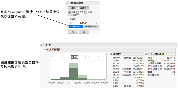 Filter for Computer Companies