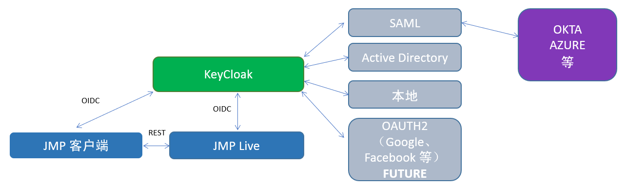 JMP Live Authentication Options and Flow