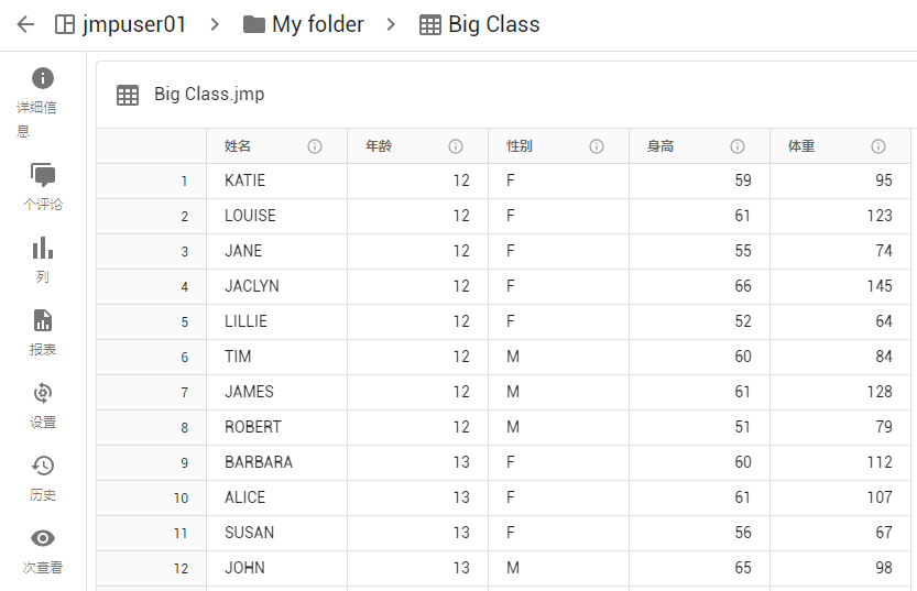 Example Data Table Example Data Table