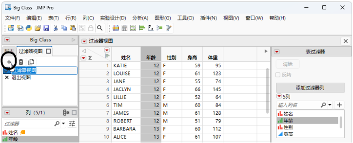 Create a Filter View from the Filter Views Tab
