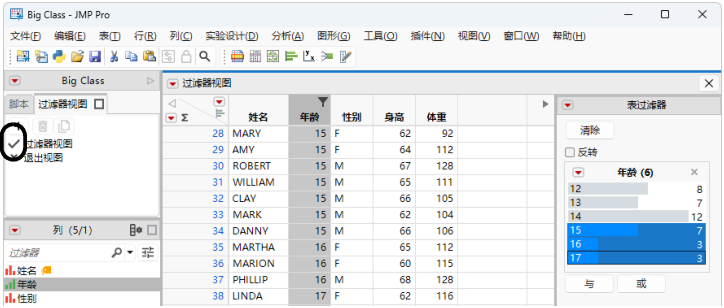 The Active Filter View