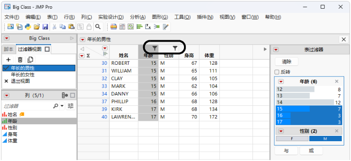 Marked Filter View Columns