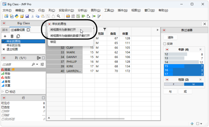 Open a Filter View as a New Table
