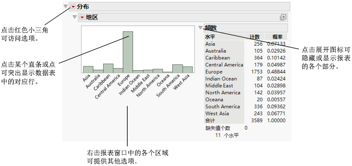Report Window Features