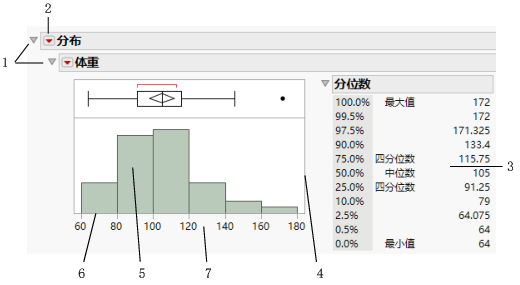 Basics of the Report Window