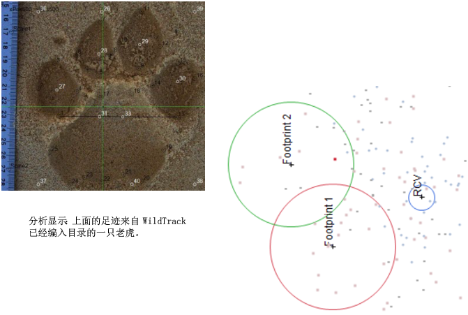 Example of Extracting and Analyzing Data