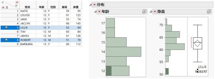 Example of the Distribution Platform