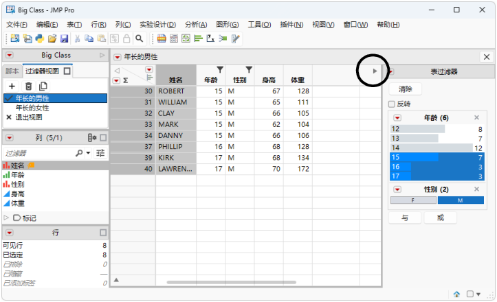 Filter Pane Toggle
