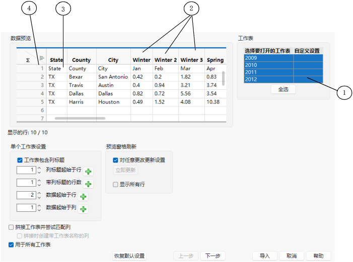 Excel Import Wizard Preview