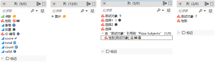 Icons That Indicate Column Characteristics and Properties