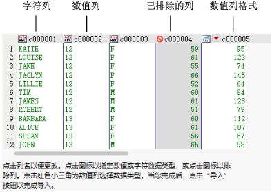 Text Import Wizard Window with Column Options