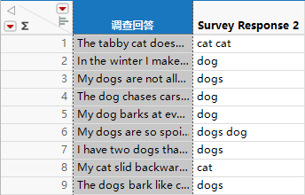 Data Table with New Columns