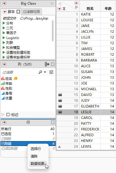Creating a Data View from the Rows Panel